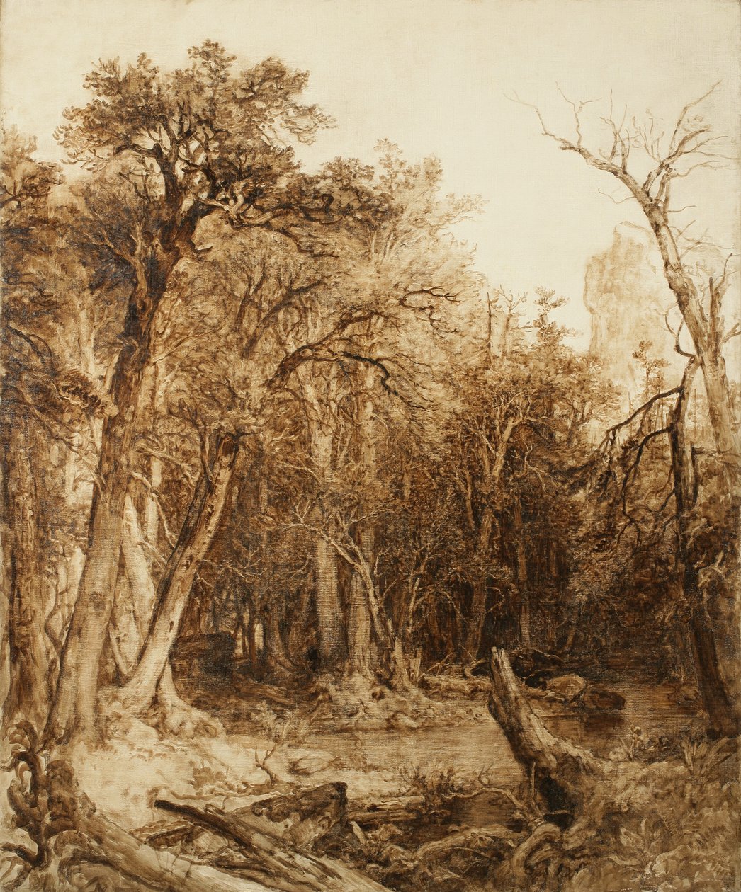 Foresta primordiale, 1854 da Asher Brown Durand