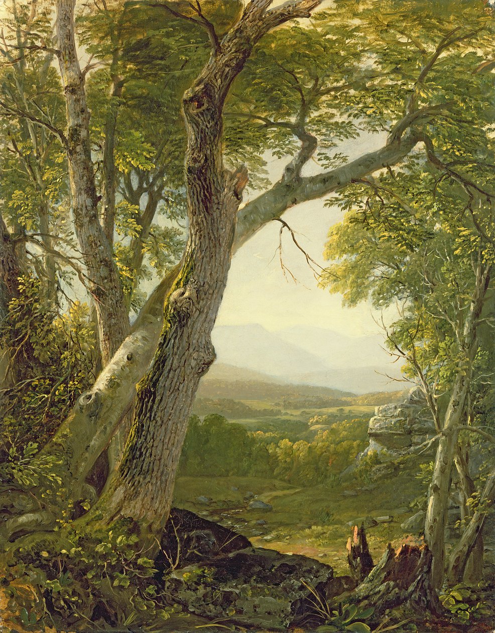 Shandaken Ridge, Kingston, New York, c.1854 da Asher Brown Durand