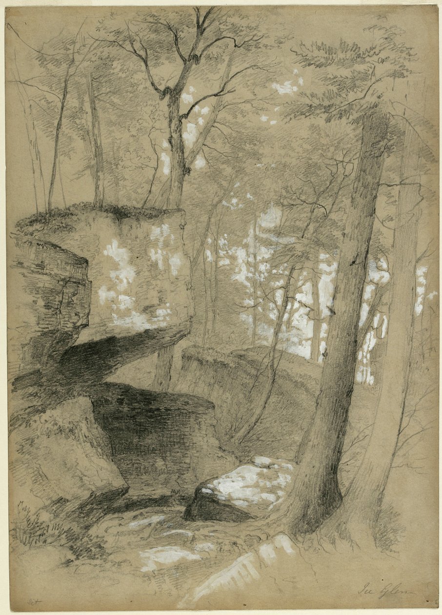 Studio di rocce e alberi in Ice Glen, Stockbridge, Massachusetts, 1851 da Asher Brown Durand
