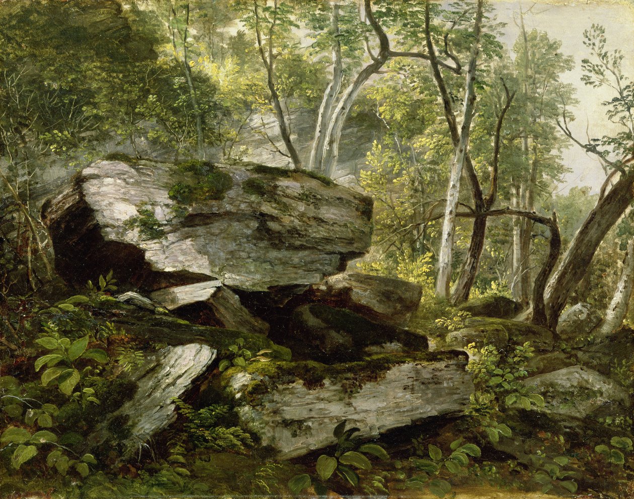 Studio dalla Natura: Rocce e Alberi, c.1856 da Asher Brown Durand