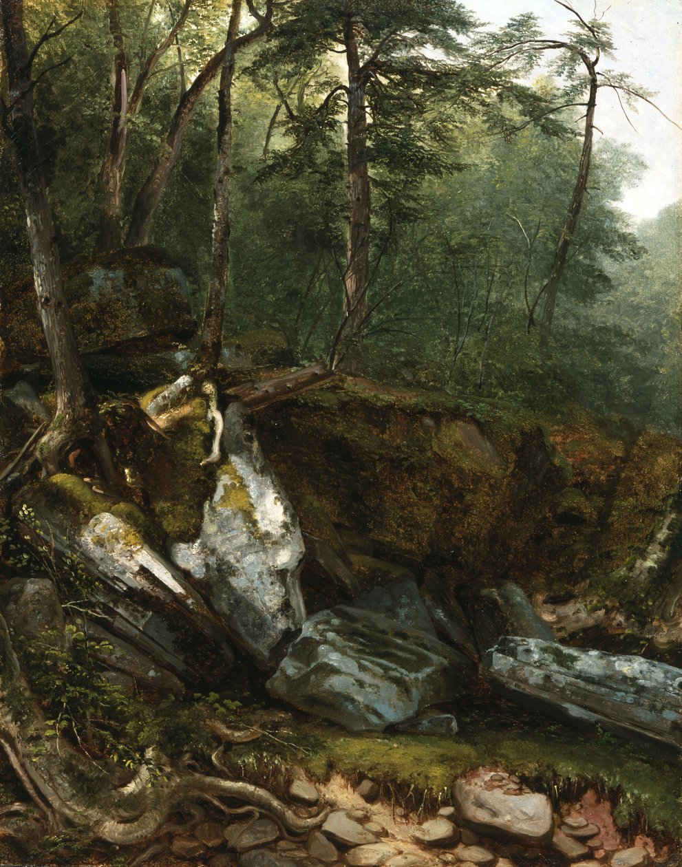 Studio dalla natura: rocce e alberi nei Catskills, N.Y., 1856 da Asher Brown Durand