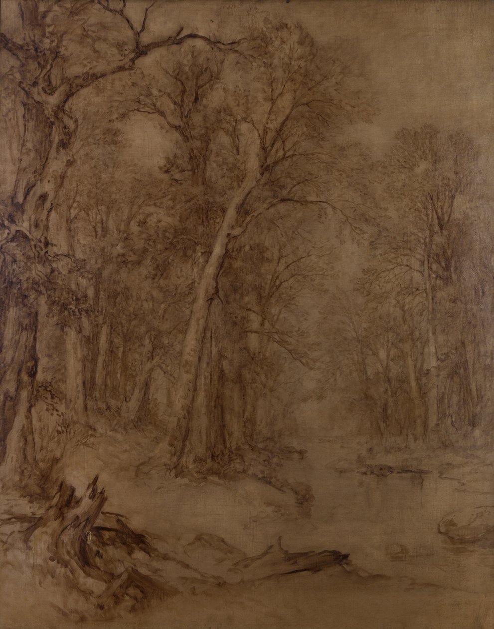 Ruscello nel Bosco, studio preliminare, 1859 (olio seppia su tela) da Asher Brown Durand