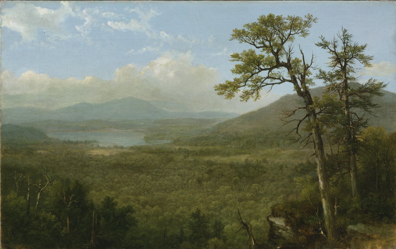 Montagne Adirondack, N.Y., 1870 da Asher Brown Durand
