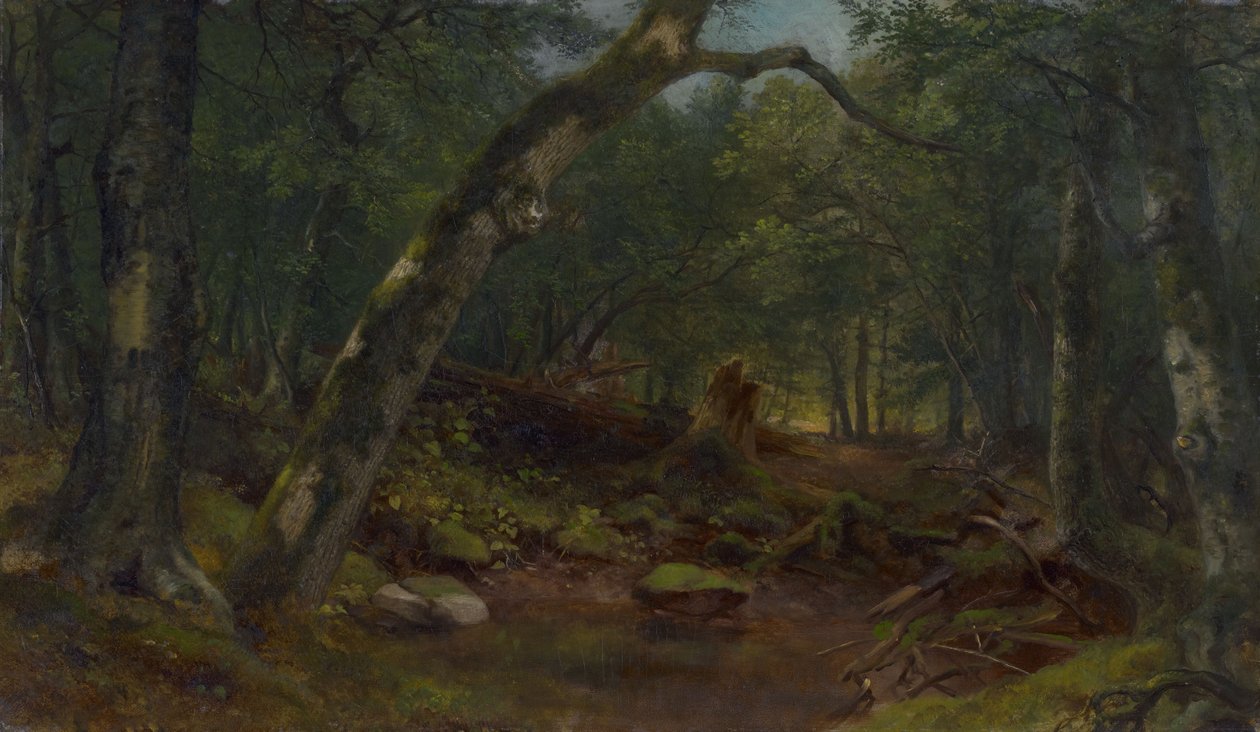 La via degli artisti dopo un acquazzone da Asher Brown Durand