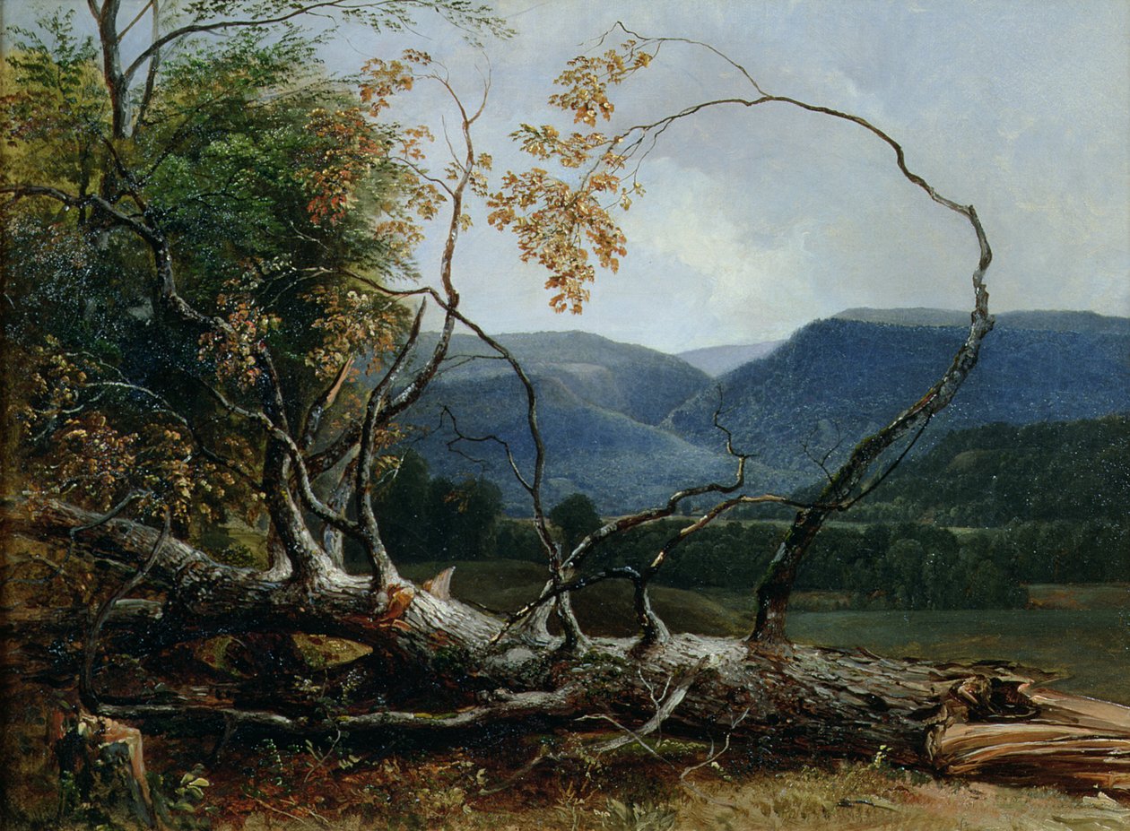 Stratton Notch, Vermont da Asher Brown Durand