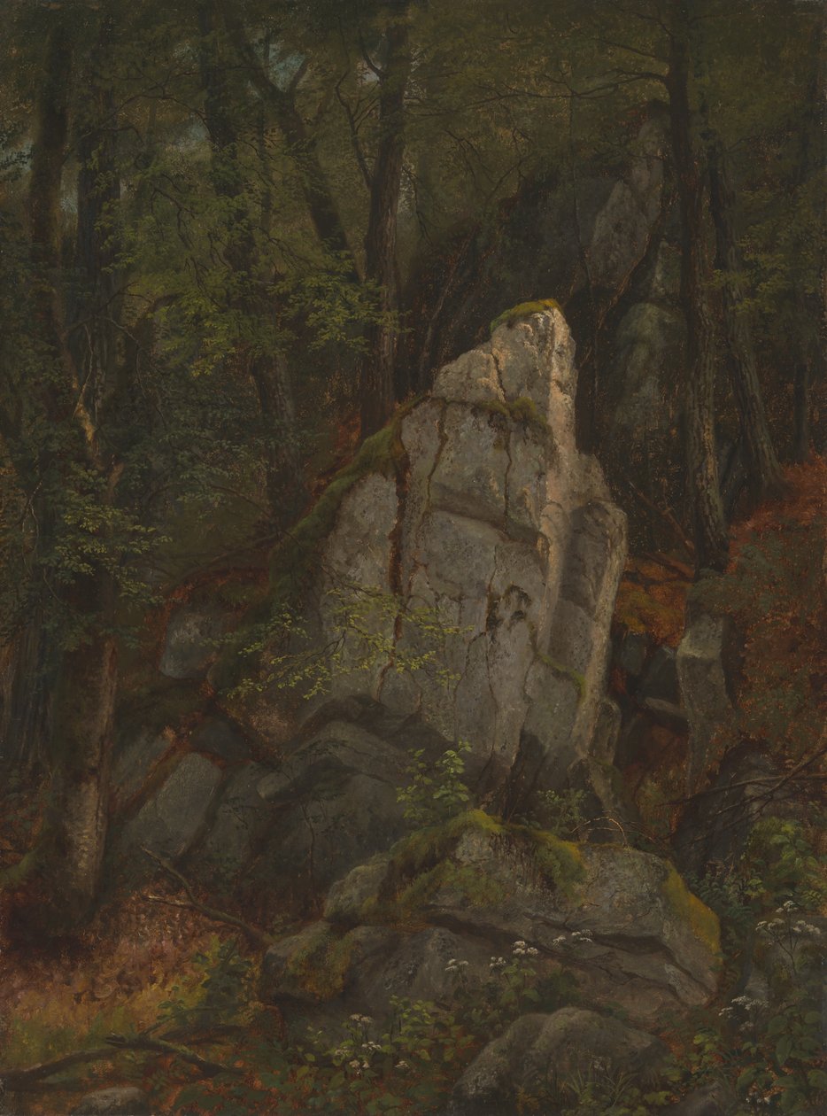 Studio di rocce nella gola di Pearson da Asher Brown Durand