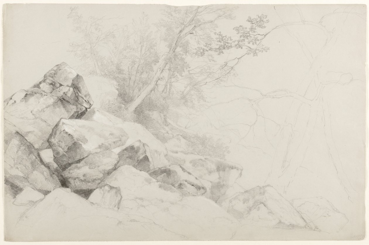 Studio di Rocce con Alberi, Hague, Lago George, New York, 1862 da Asher Brown Durand