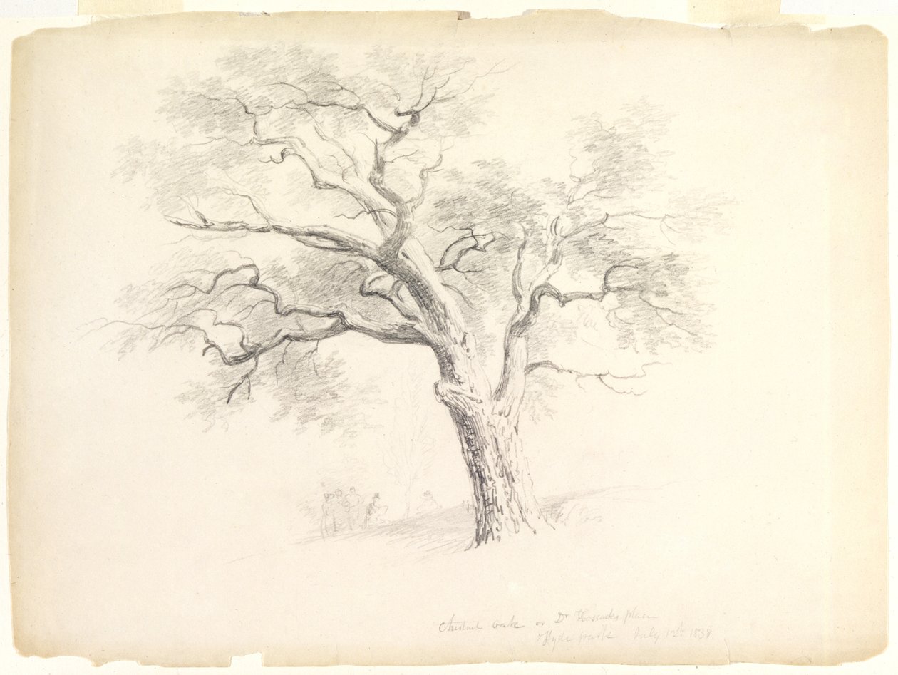 La quercia castagna nella tenuta Hosack, Hyde Park, New York con cinque figure e un artista che disegna, 1838 da Asher Brown Durand