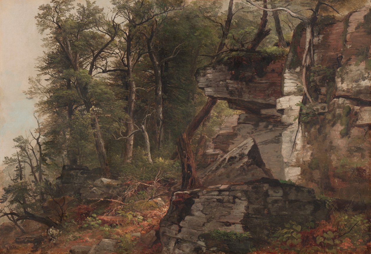Alberi su una collina rocciosa da Asher Brown Durand