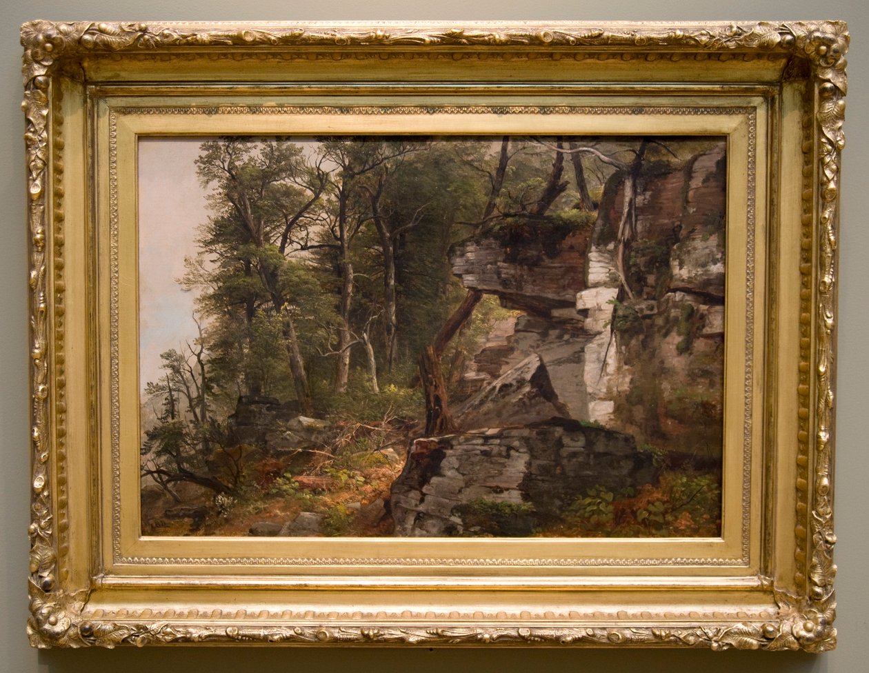 Alberi su una collina rocciosa, c. 1849 da Asher Brown Durand