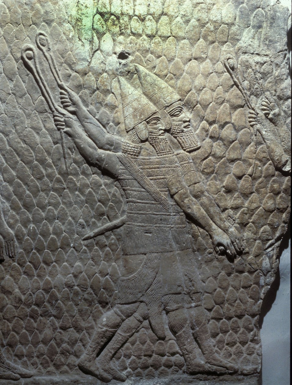 Fiondatori assiri, Palazzo di Sennacherib, Ninive da Assyrian