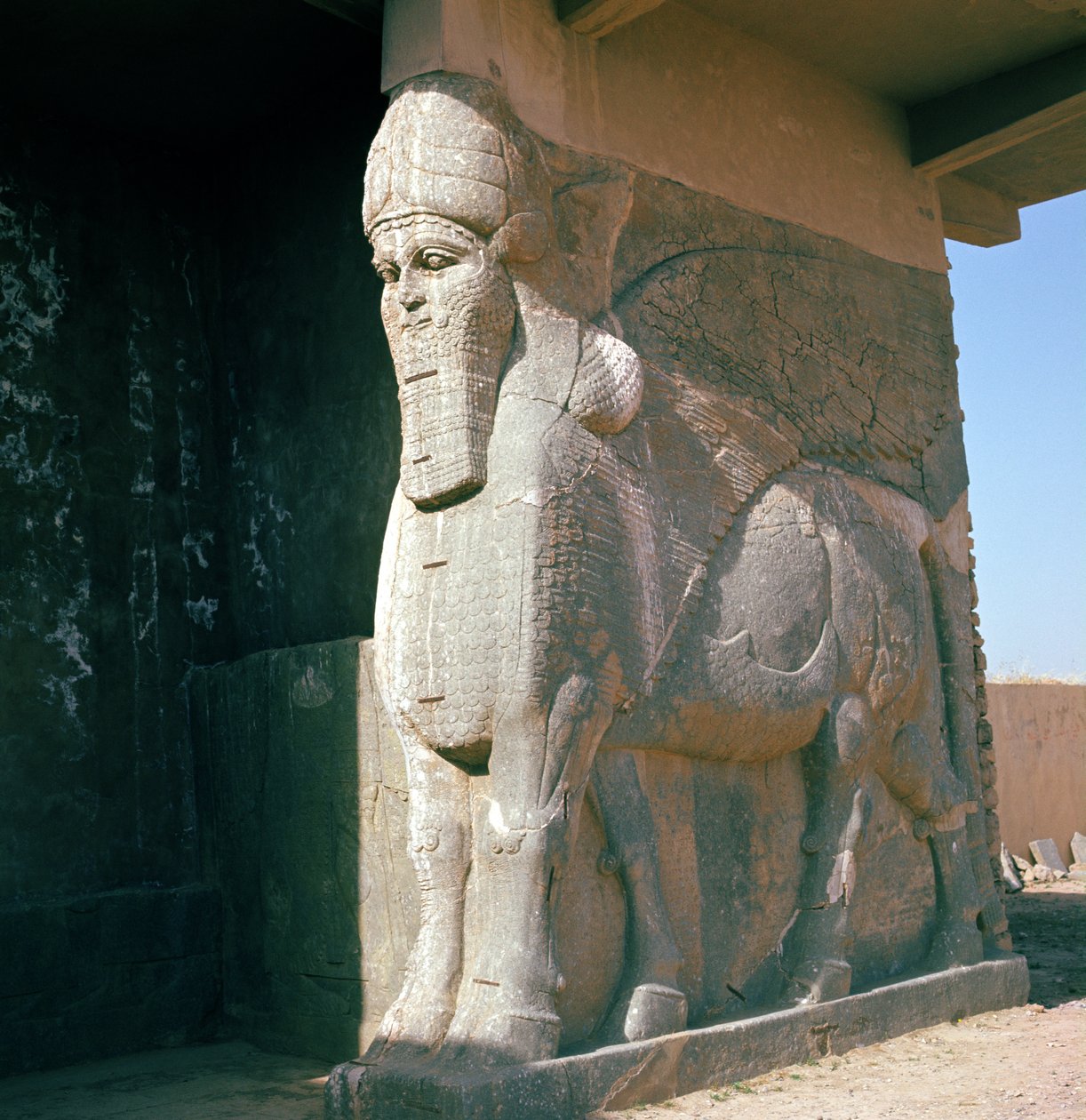 Toro alato con testa umana, Periodo Neo-Assiro, regno di Ashurnasirpal II da Assyrian