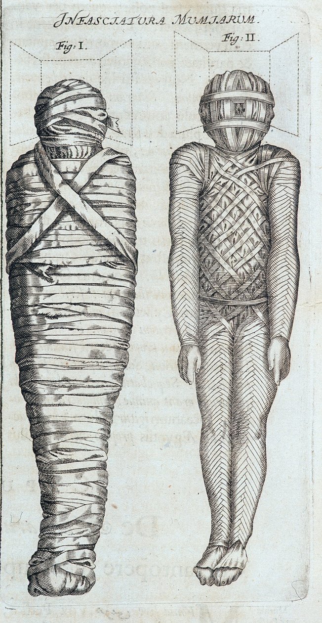 Mummie - in "Sphynx mystagoga" di Athanase Kircher da Athanasius Kircher