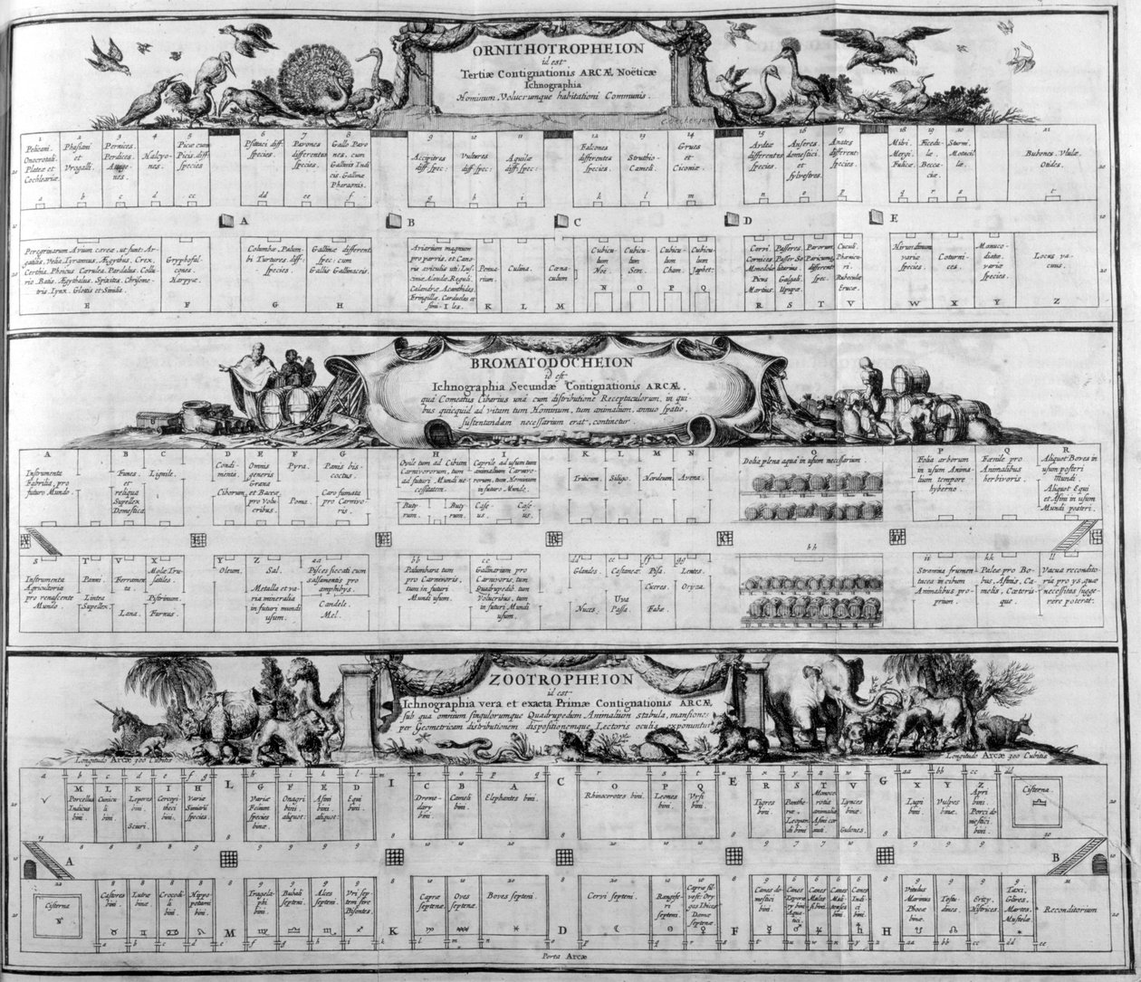 Tavola delle specie, 1765 da Athanasius Kircher