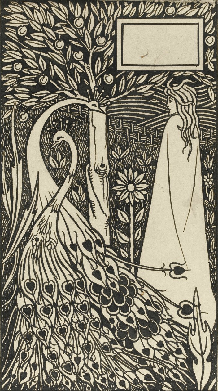 Illustrazione per il libro Le Morte d