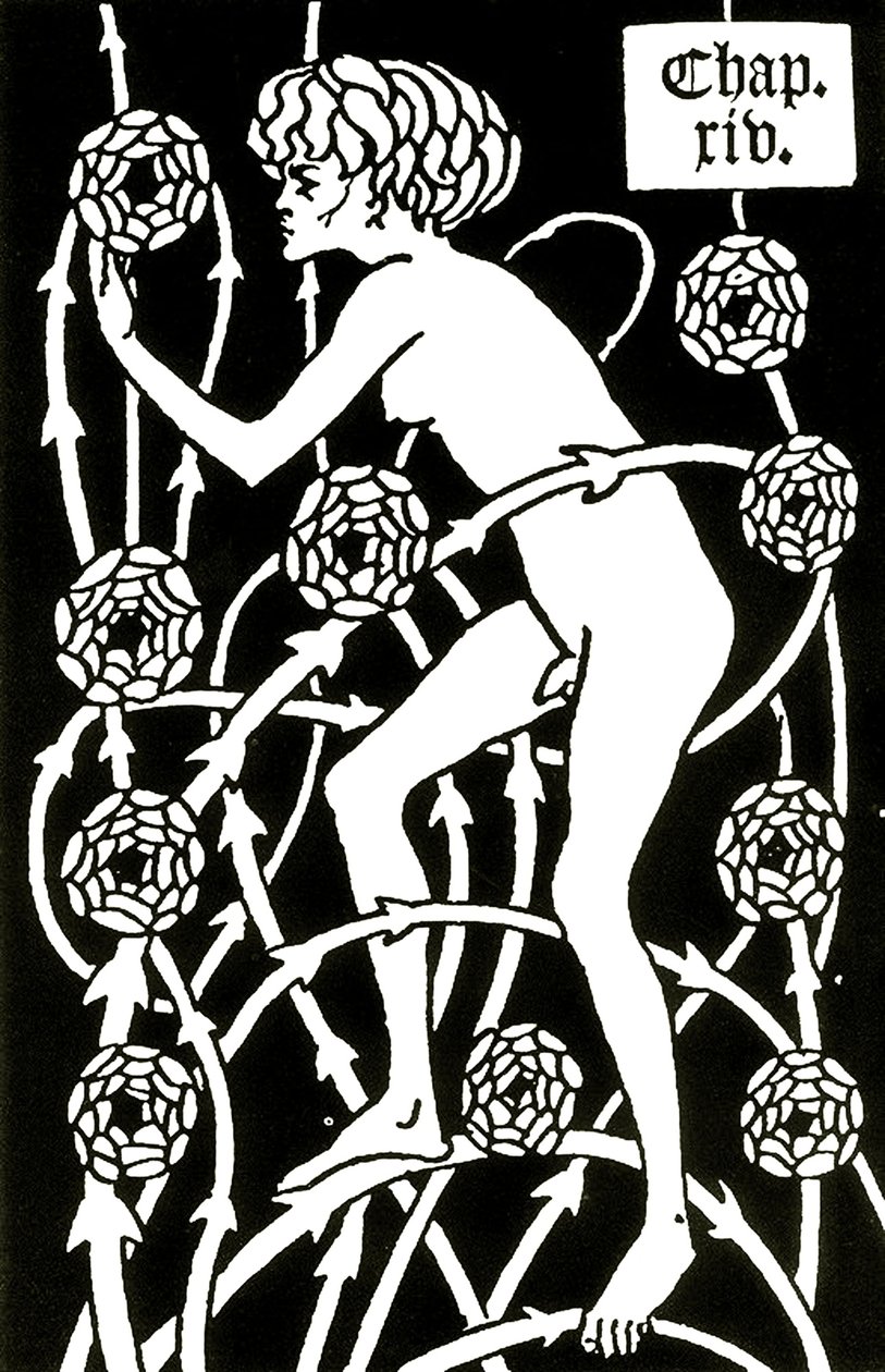 Ermafrodito tra le rose da Le morte d