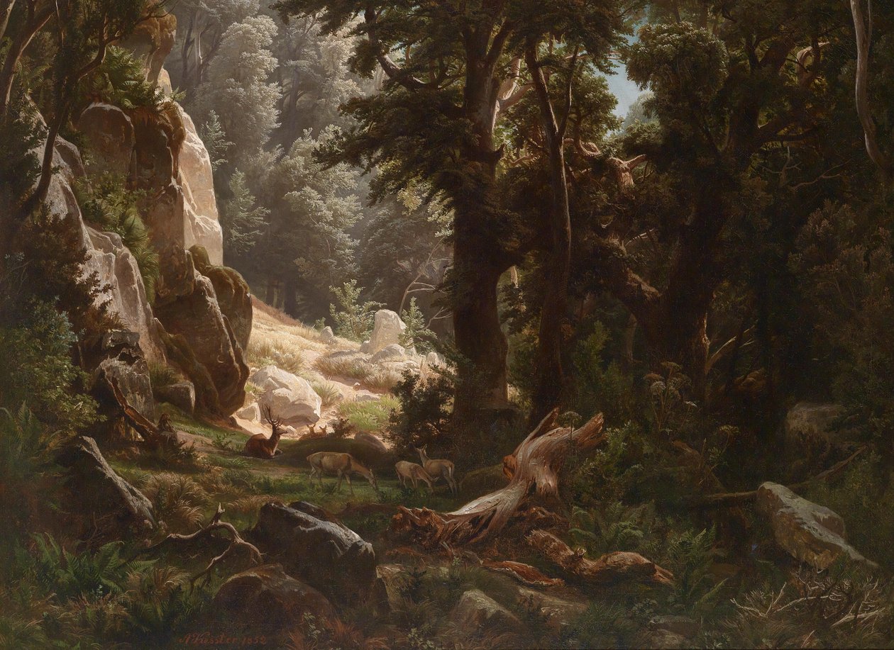 Cervi nel bosco da August Friedrich Kessler