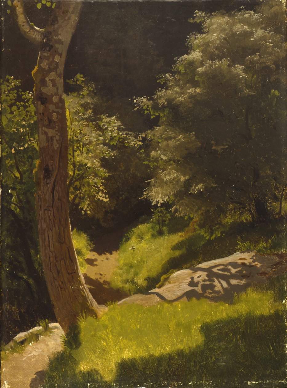 Paesaggio del parco con sentiero del giardino da August Cappelen