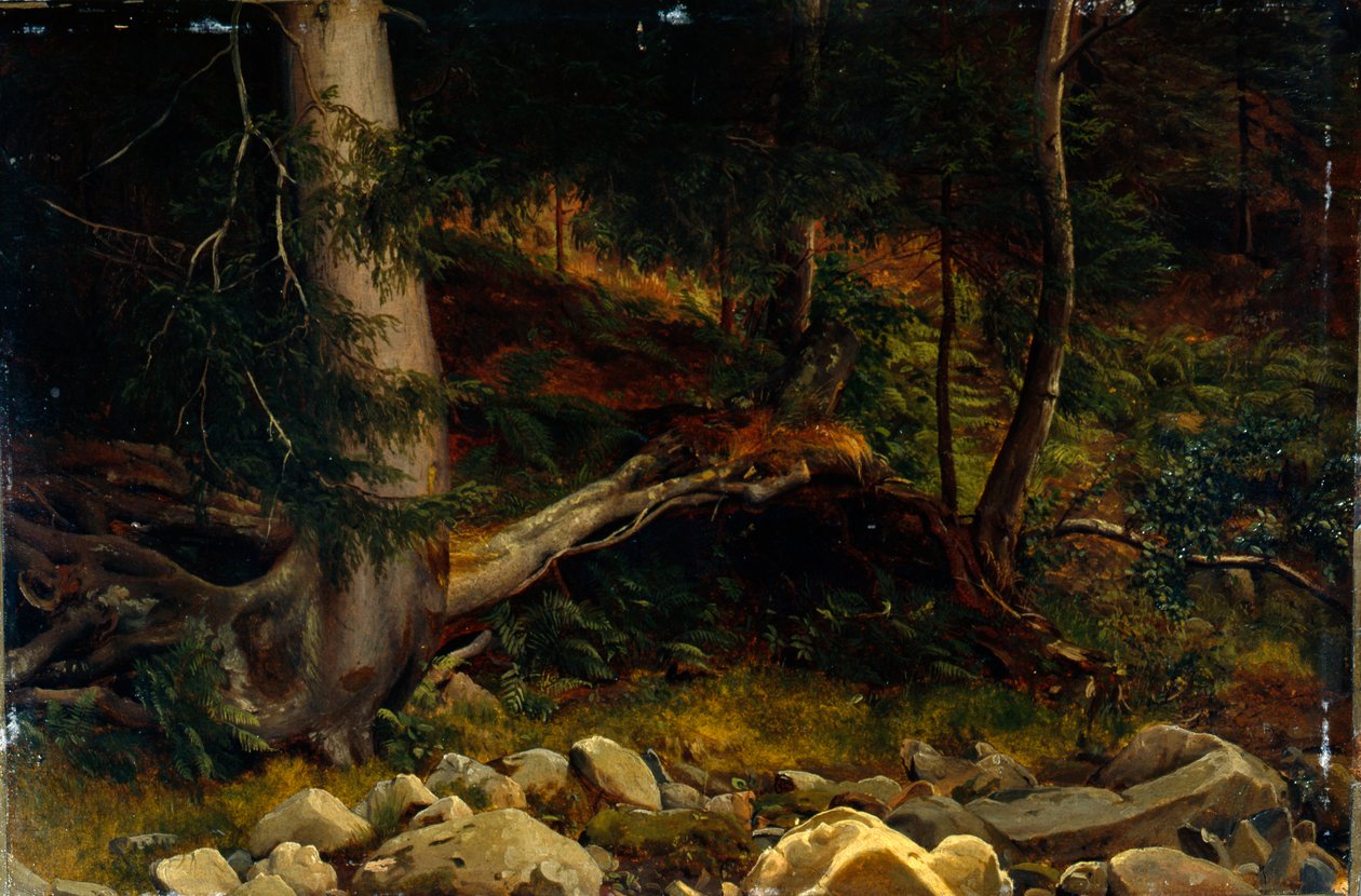 Studio del suolo della foresta (pittura) da August Cappelen