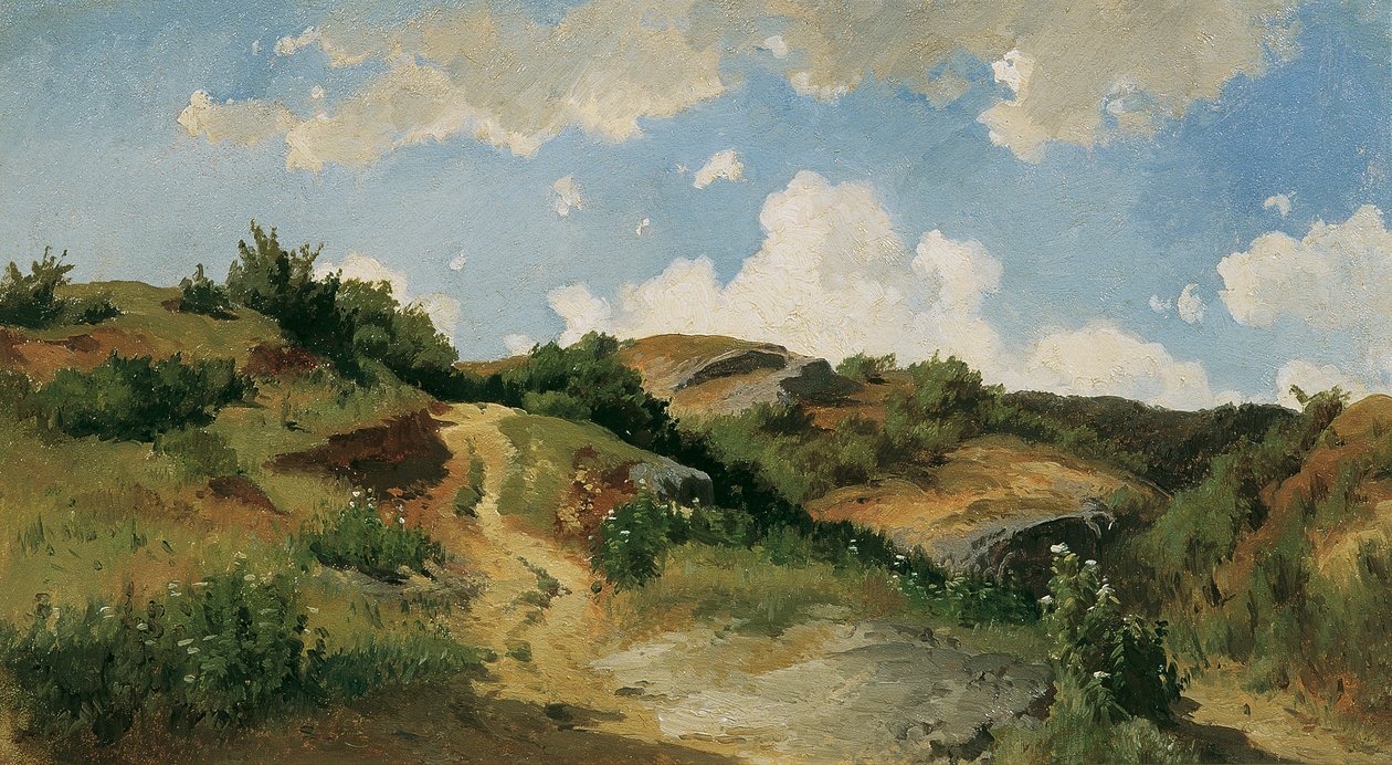 Paesaggio ungherese da August Schaeffer von Wienwald
