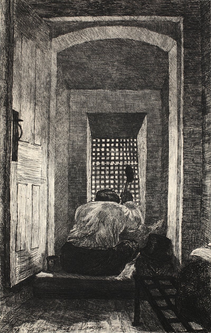 Illustrazione da 