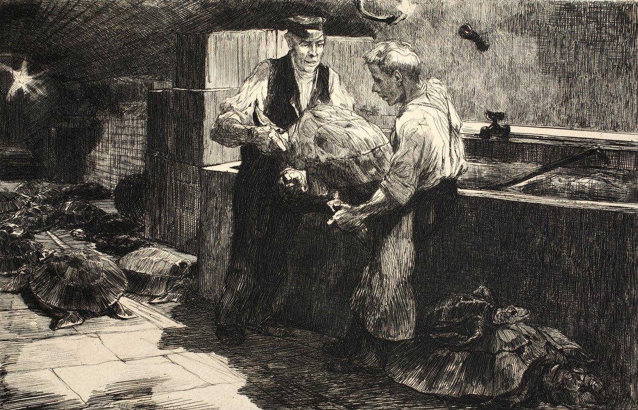 Illustrazione da 