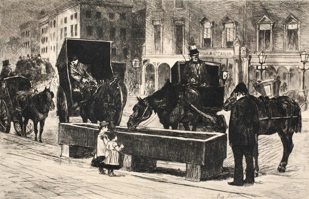 Illustrazione da 