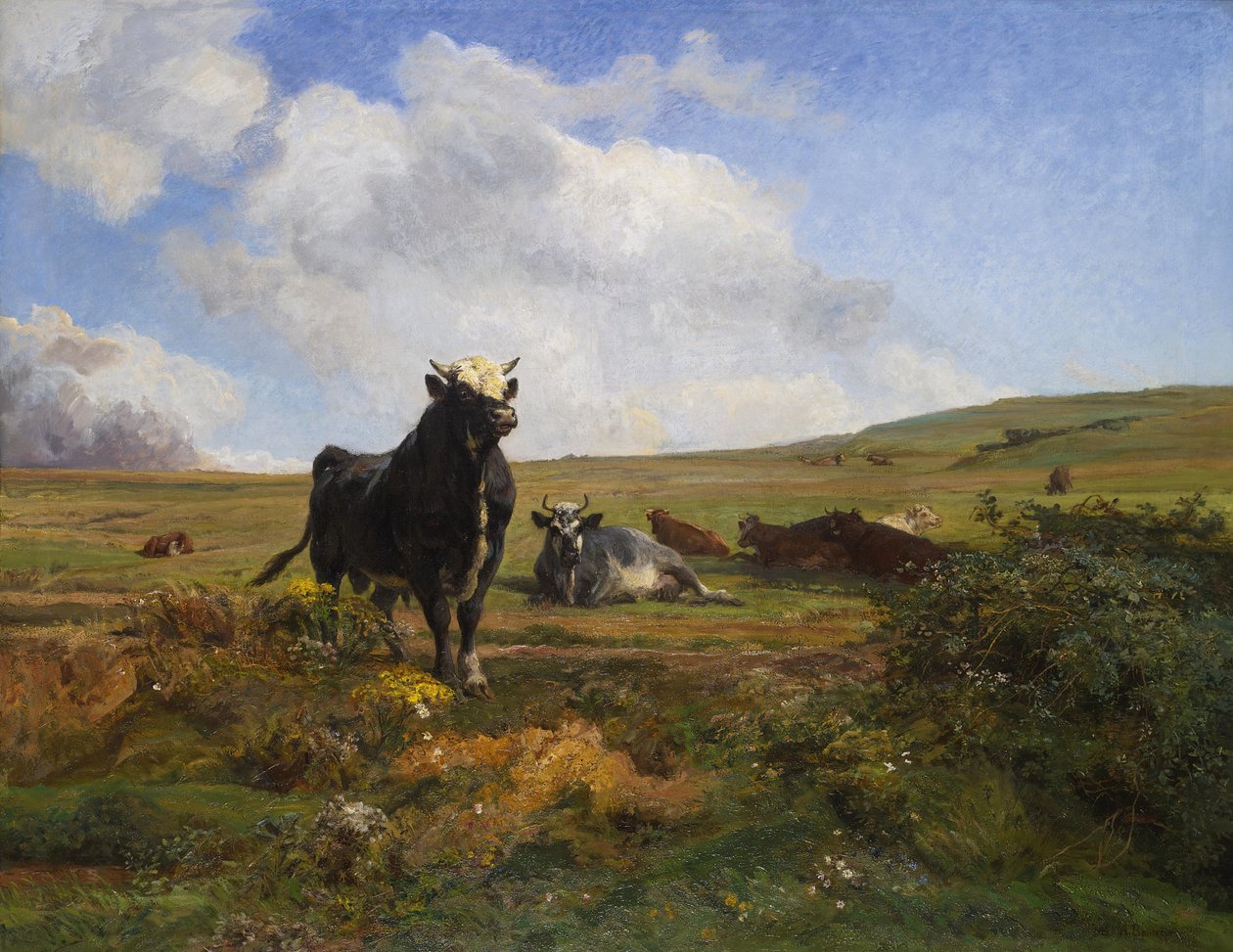 Capo del branco da Auguste Francois Bonheur