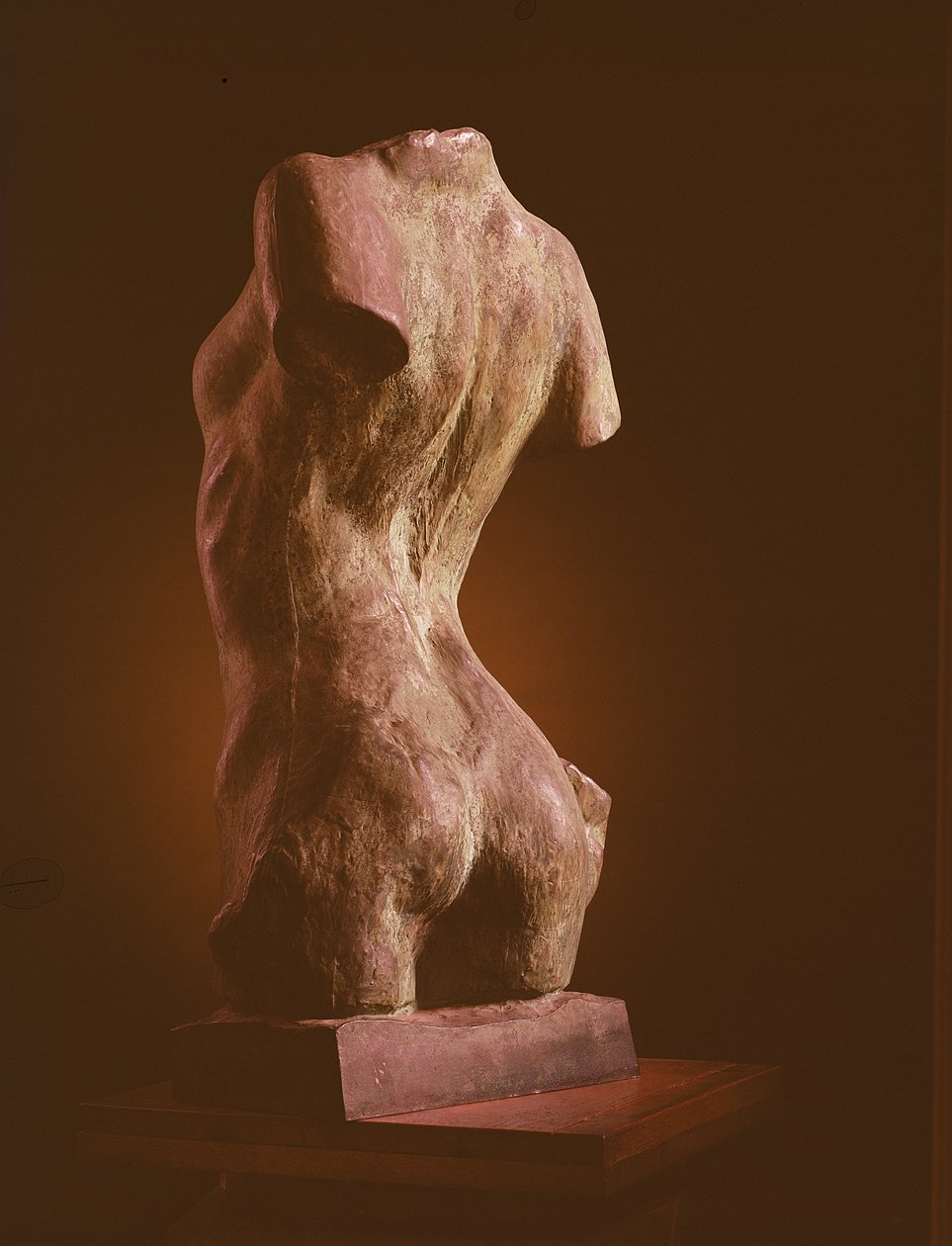 Torso di una giovane donna, 1909 da Auguste Rodin