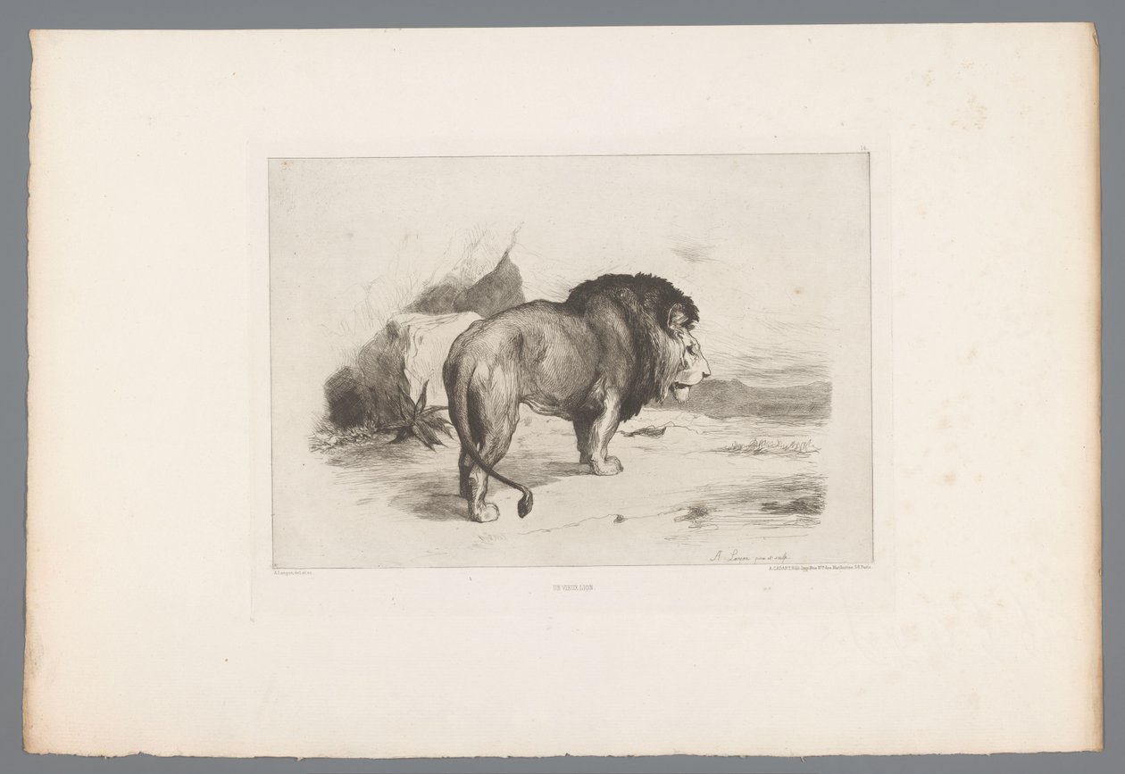 Leone da Auguste Andre Lancon