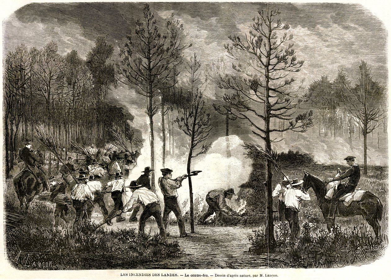 Il grande incendio delle Landes, il controfuoco da Auguste Andre Lancon