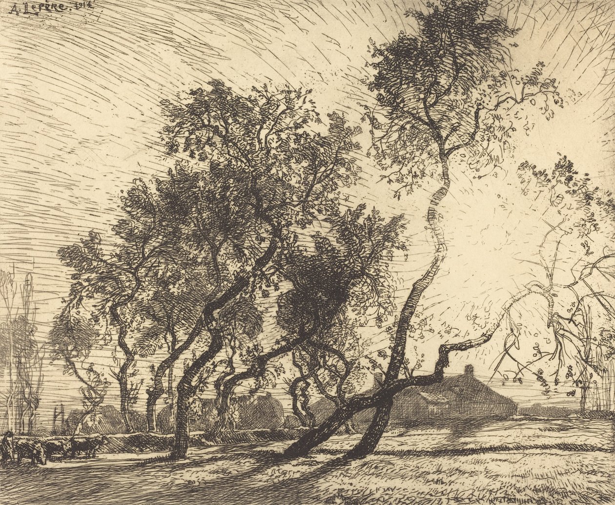 La fattoria dei pioppi in Olanda, 1914 da Auguste Lepere