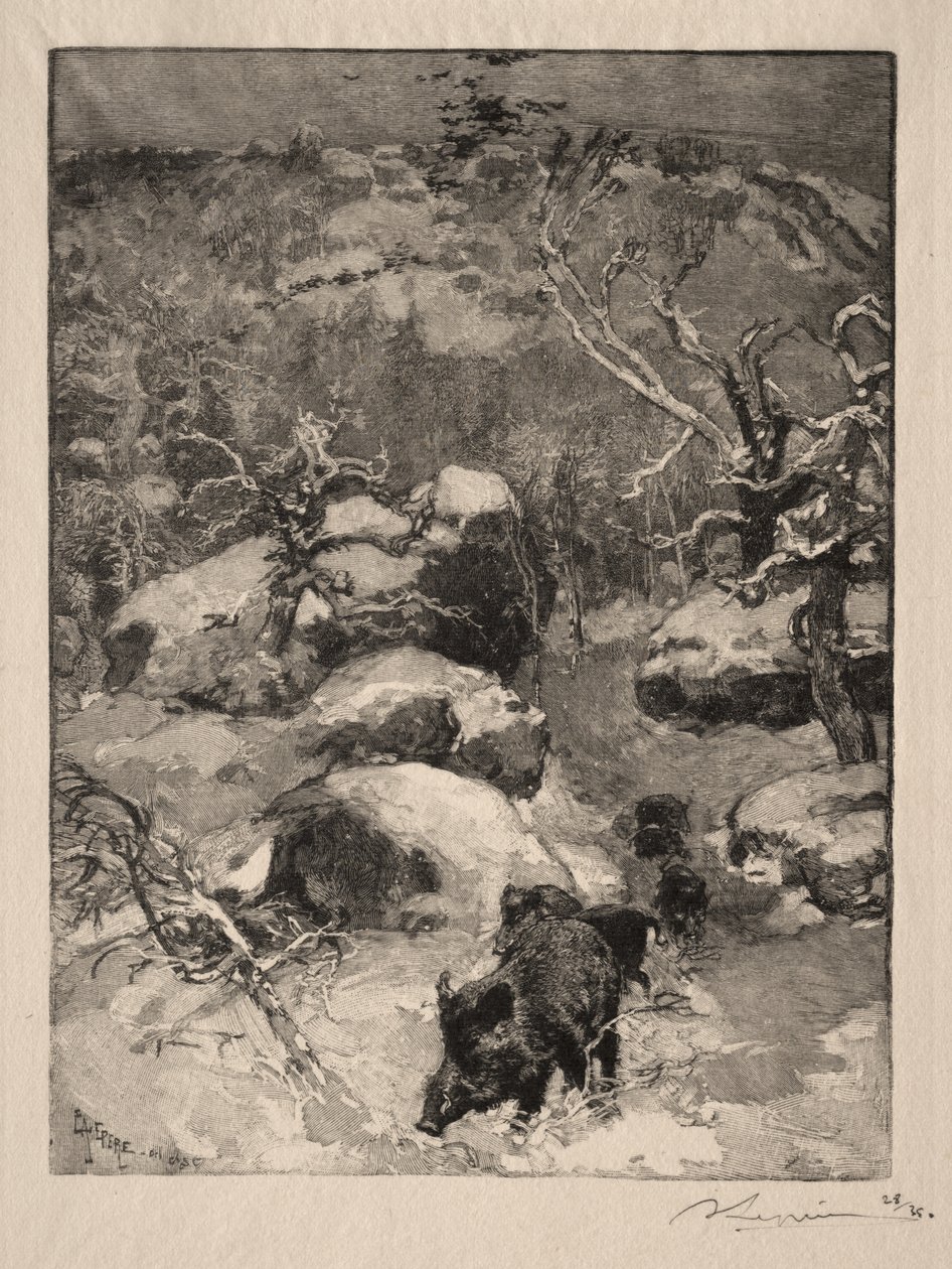 Roccia Cuvier Chatillon da Auguste Louis Lepère