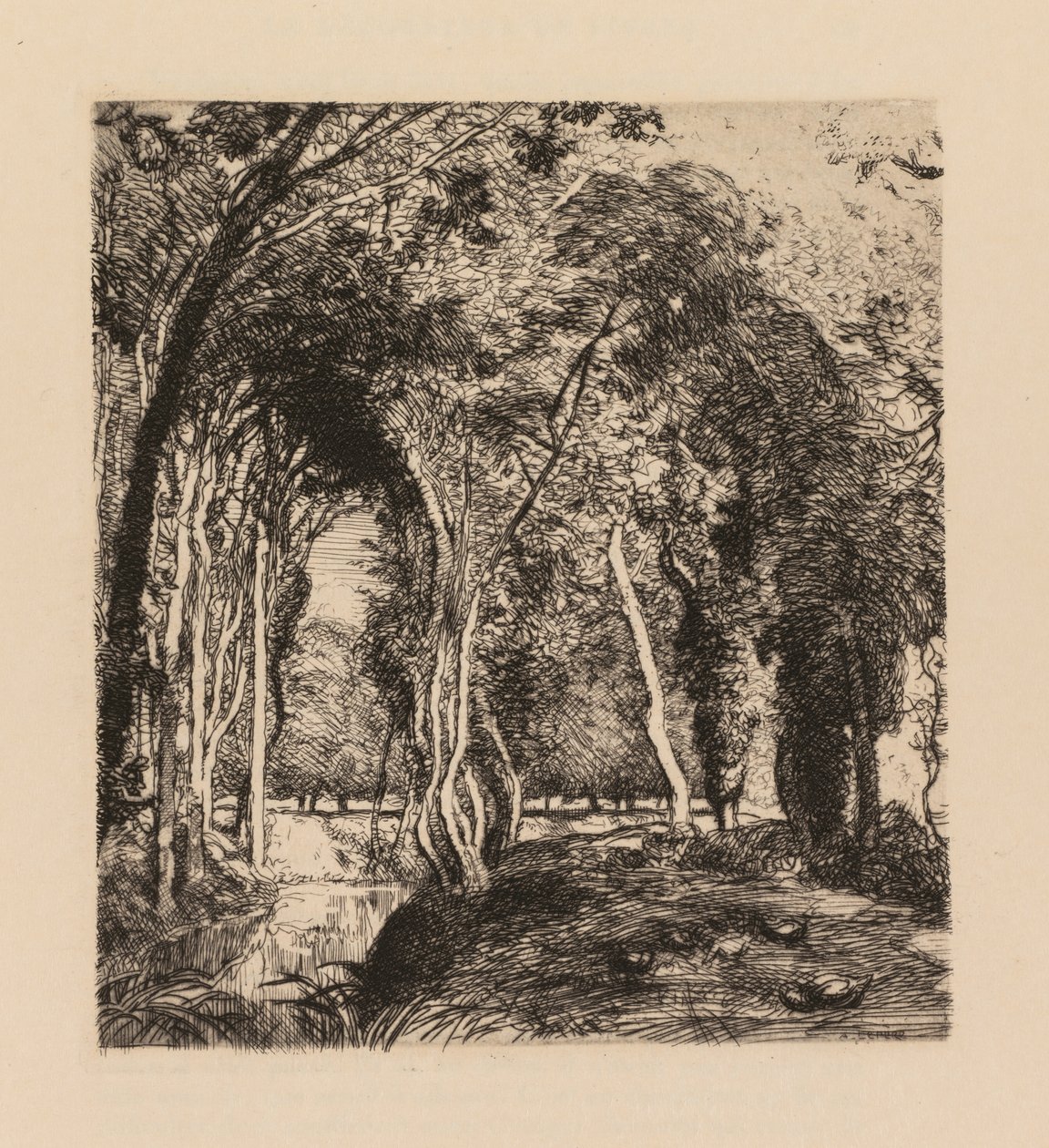Auguste Lepère: Sottobosco, alla Rigonette (Vendée) da Auguste Louis Lepère