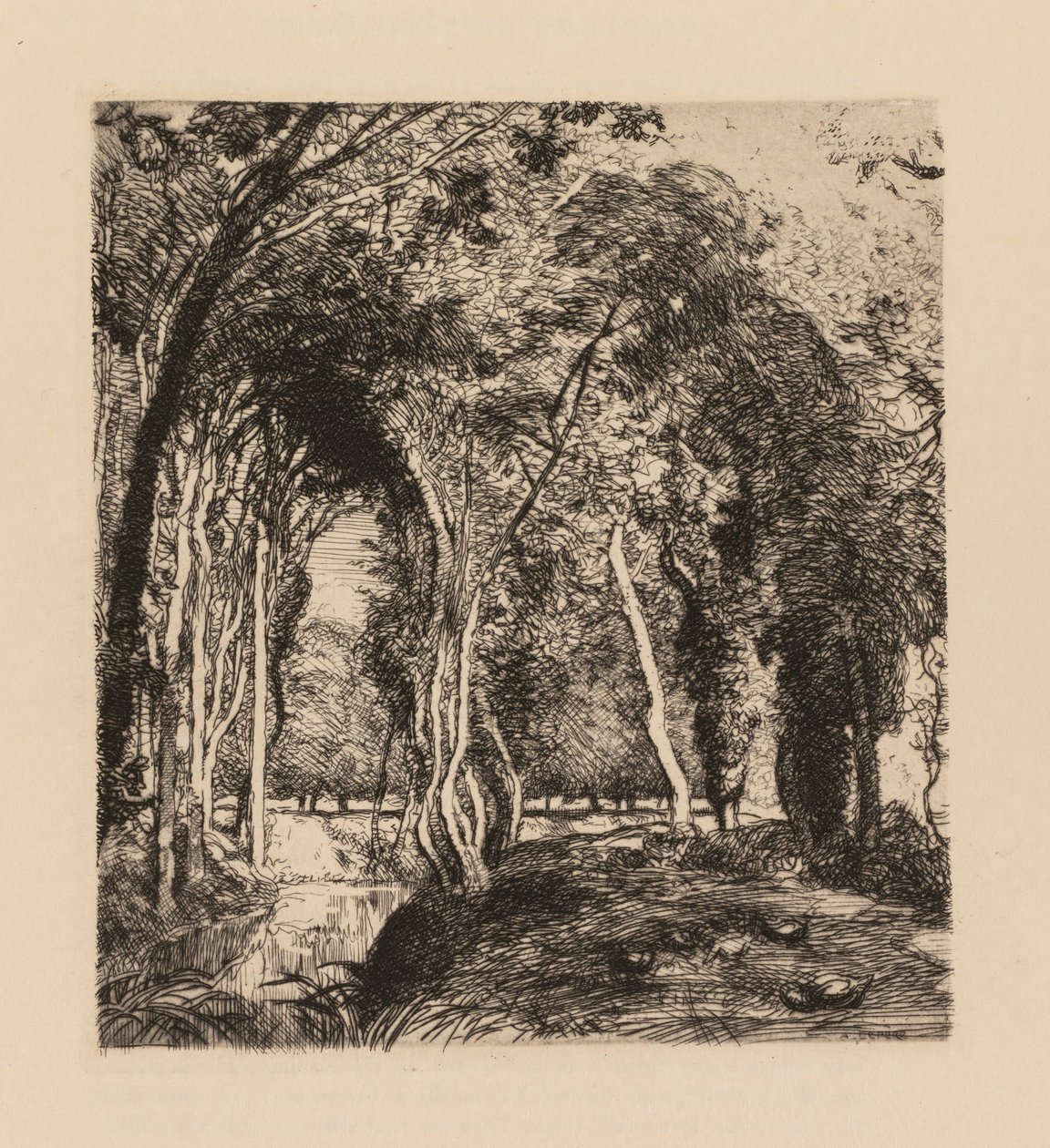 Auguste Lepère: Sous bois, à la Rigonette Vendée da Auguste Louis Lepère