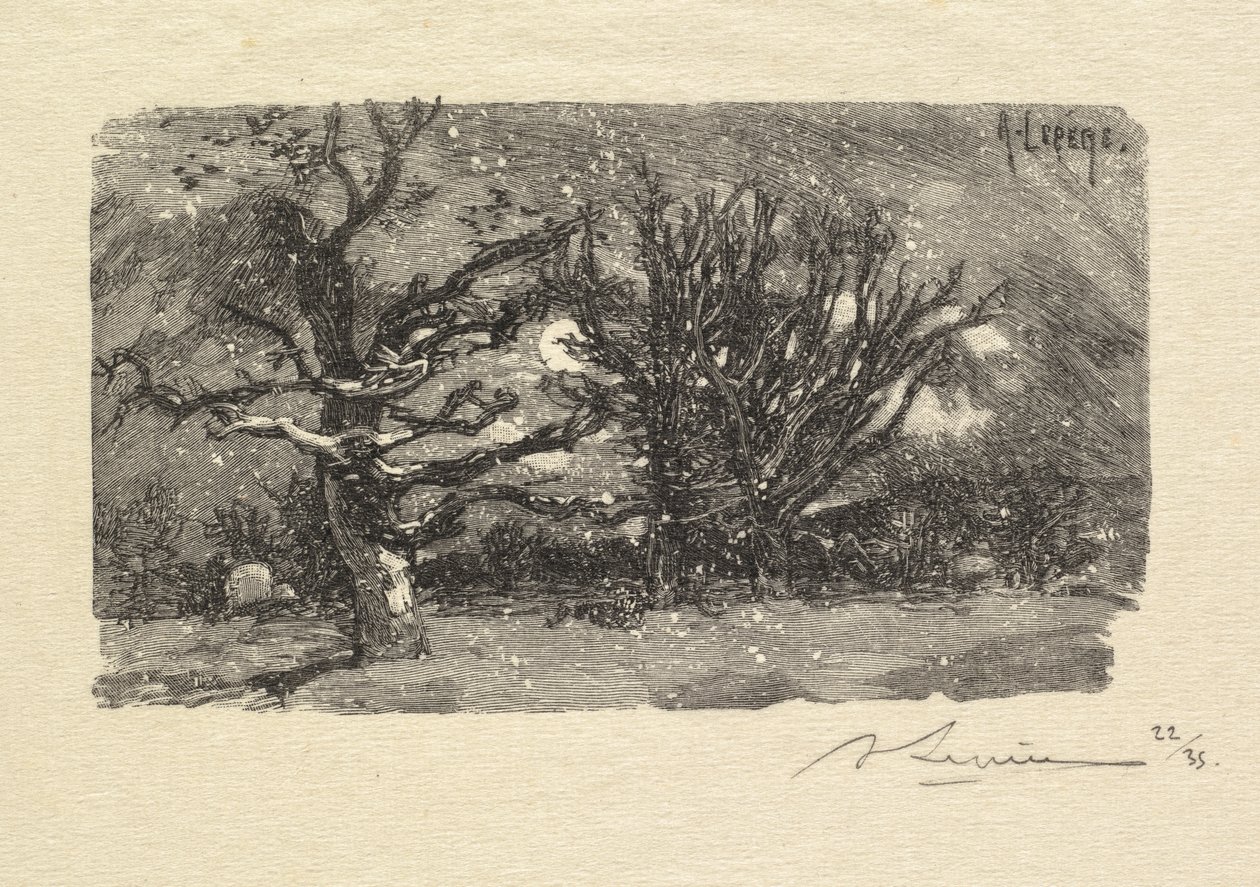 Foresta di Fontainebleau: Al dormitorio di Lantara da Auguste Louis Lepère