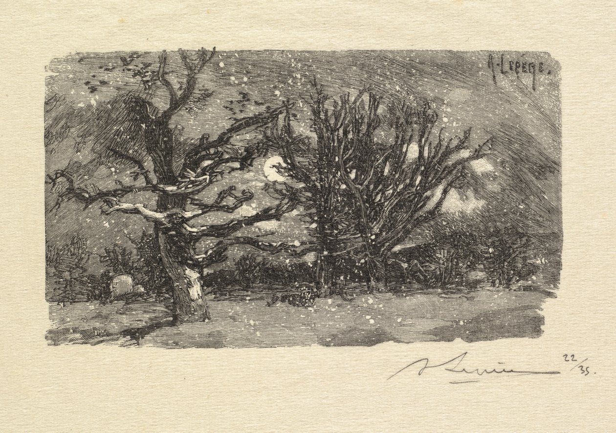 Foresta di Fontainebleau: Au dormoir de Lantara, 1890 da Auguste Louis Lepère