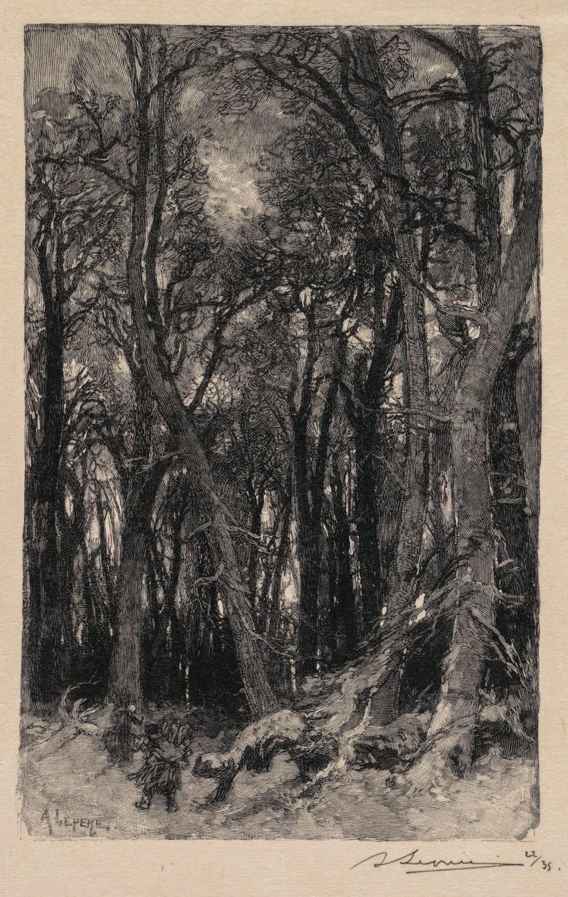 Foresta di Fontainebleau: Le Bas-Bréau, 1890 da Auguste Louis Lepère