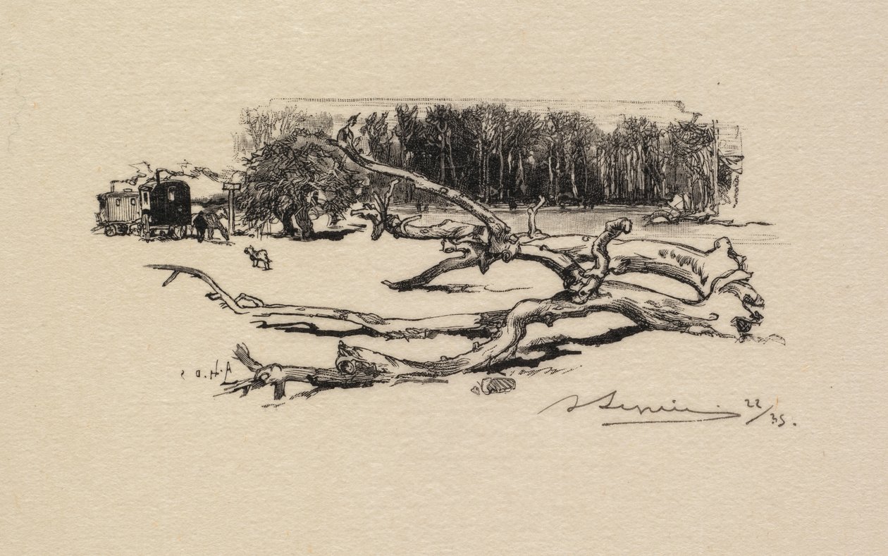 Foresta di Fontainebleau: Carrefour de l