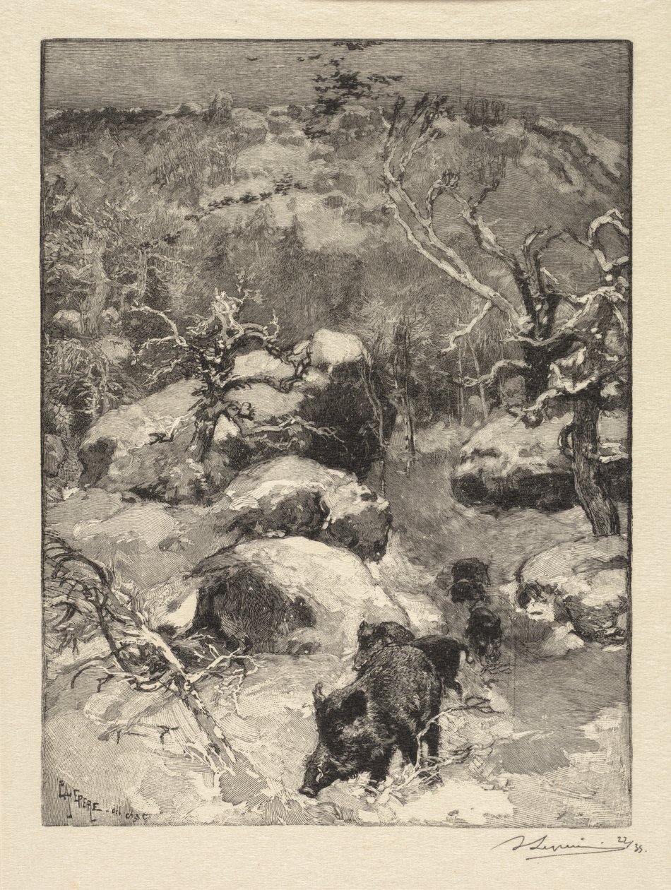 Foresta di Fontainebleau: Scogliera Cuvier-Châtillon da Auguste Louis Lepère