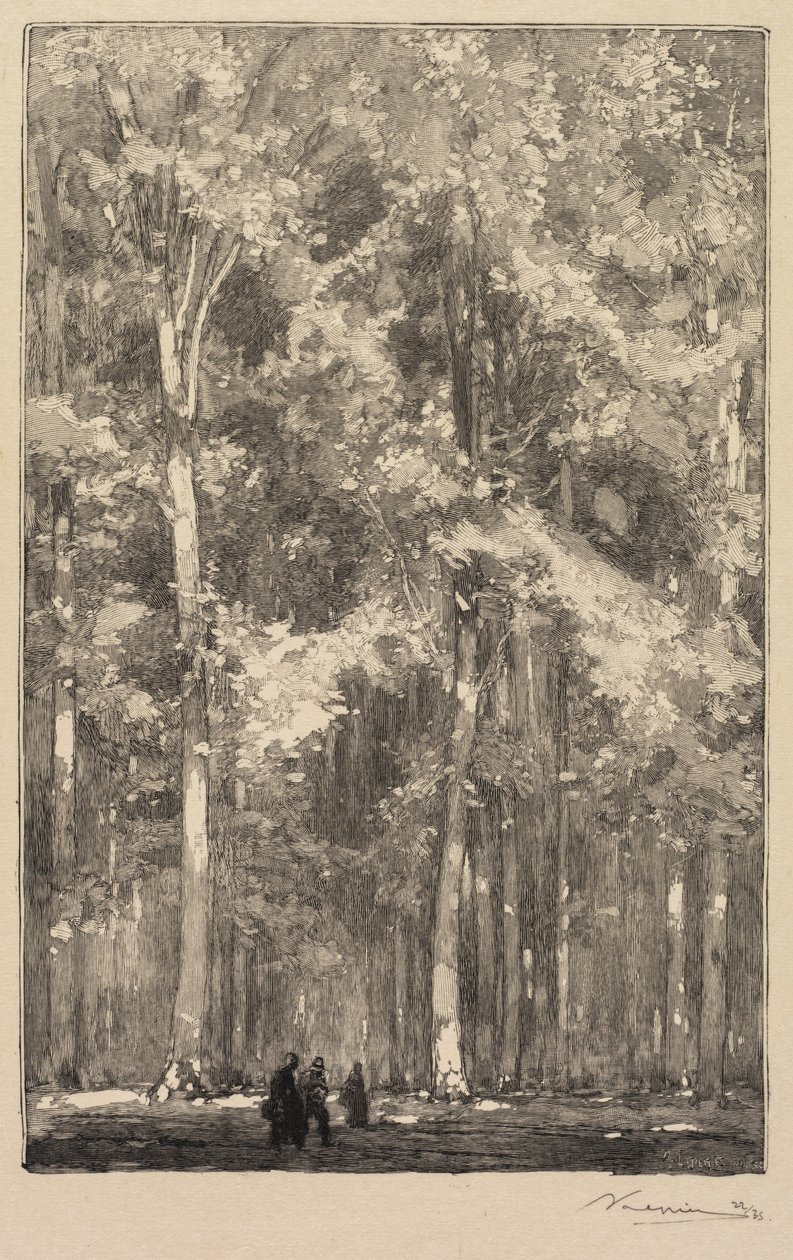 Foresta di Fontainebleau: Mattina, incrocio della strada dei Forti di Marlotte da Auguste Louis Lepère