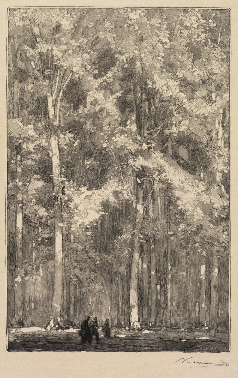 Foresta di Fontainebleau: Mattina, incrocio della Route des Forts de Marlotte..., 1890 da Auguste Louis Lepère