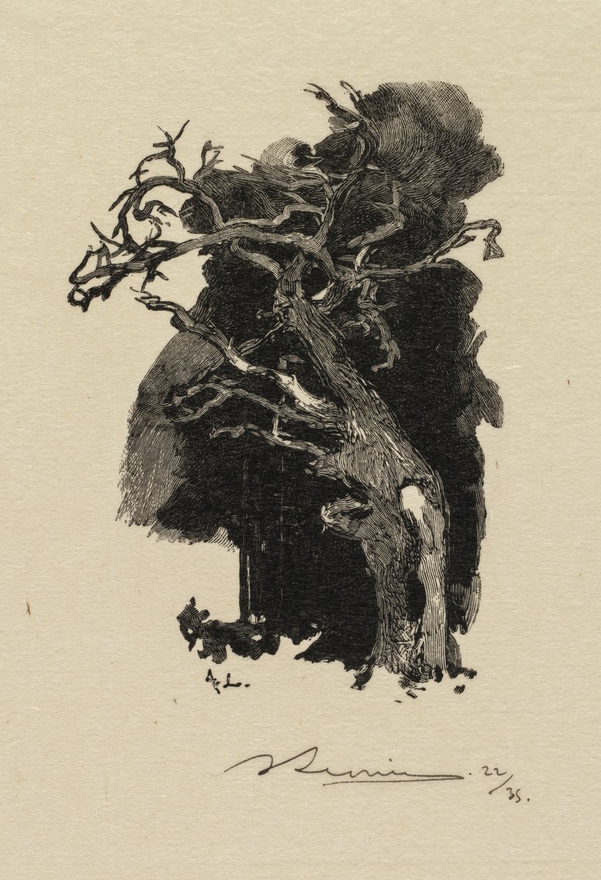 Foresta di Fontainebleau: Il furioso da Auguste Louis Lepère
