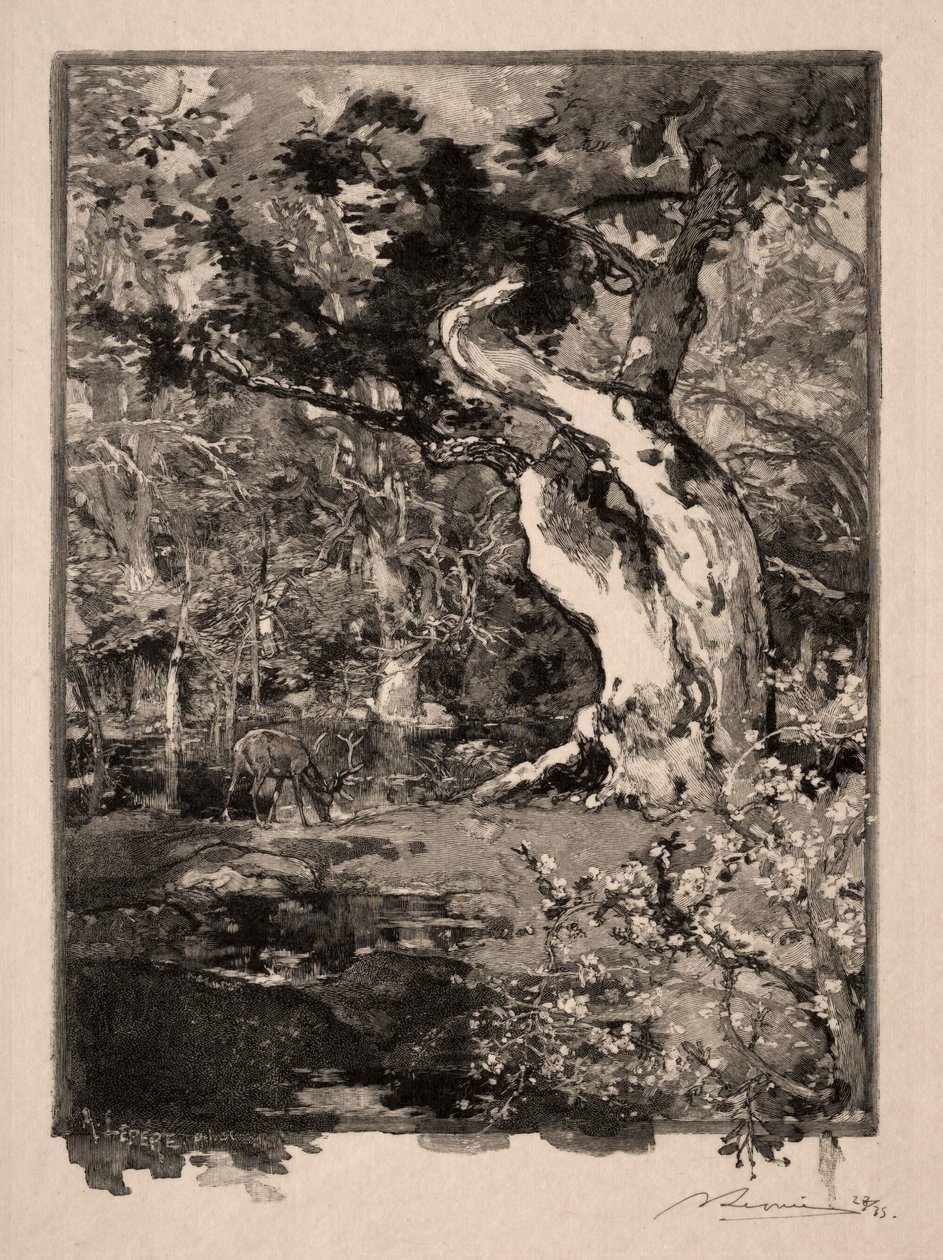 Le Clovis, Plateau de Bellecroix, 1890 da Auguste Louis Lepère