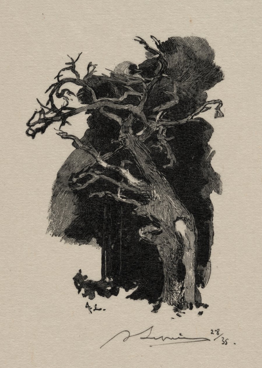 Il rabbioso da Auguste Louis Lepère