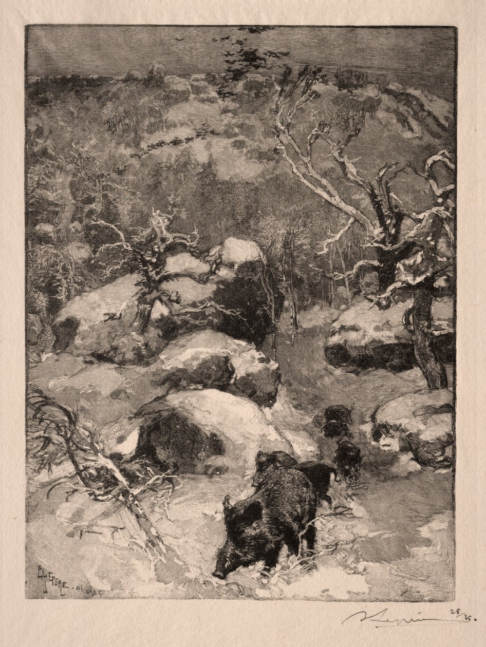 Roche Cuvier Chatillon da Auguste Louis Lepère