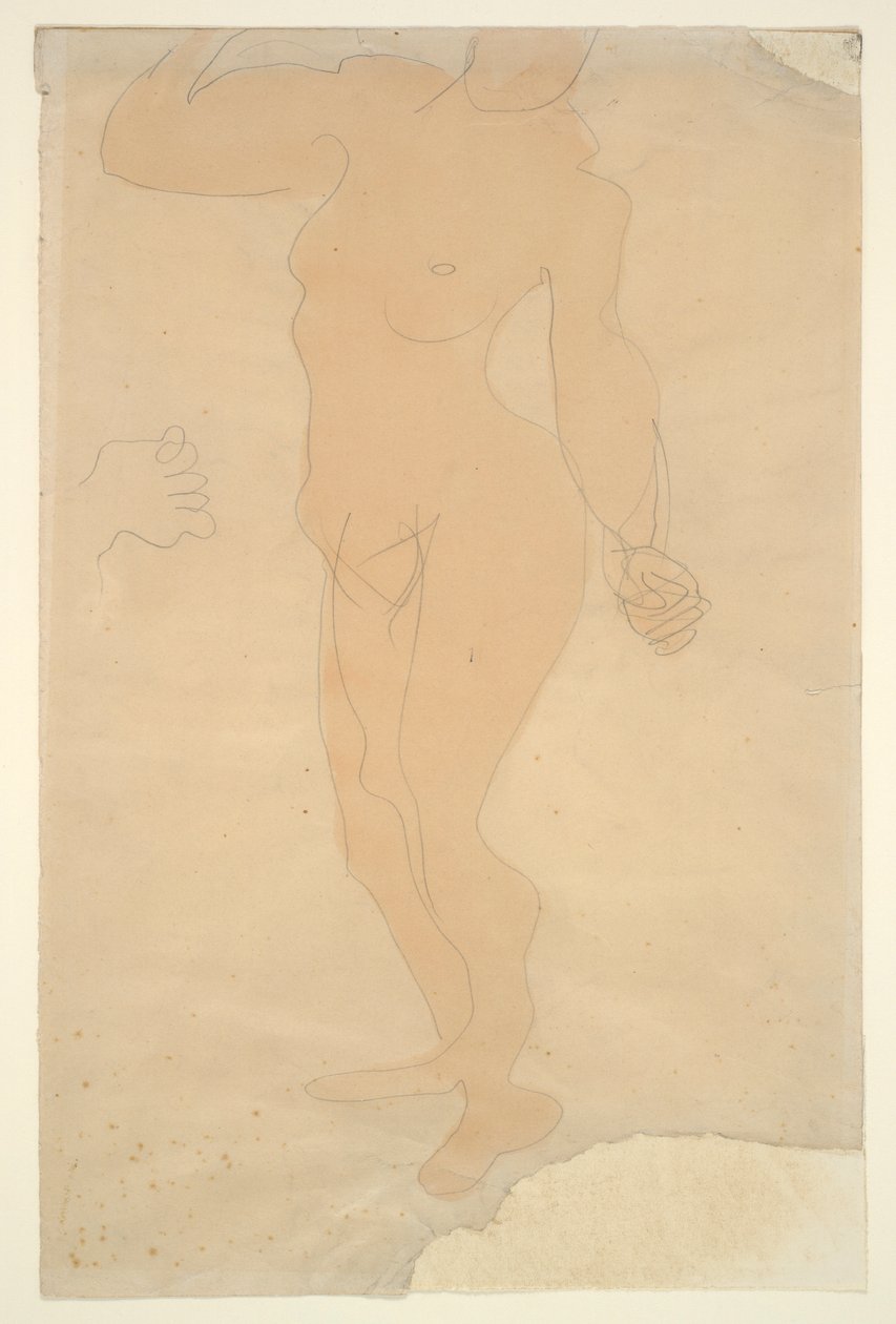 Nudo in piedi (testa parzialmente tagliata dal bordo del foglio) da Auguste Rodin