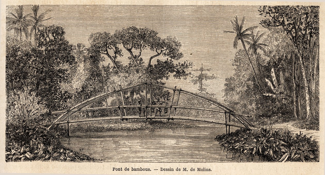Un ponte di bambù, nella giungla, vicino al Monte Salak. Disegno di M. de Molins, per illustrare il suo viaggio a Giava. da Auguste de Molins