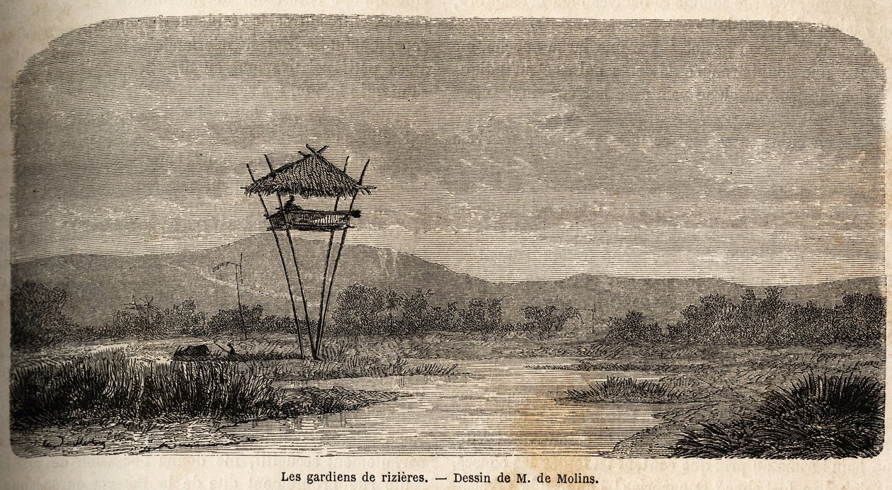 Una guardia del riso, vicino a Batavia. Disegno di M. de Molins, per illustrare il suo viaggio a Giava da Auguste de Molins