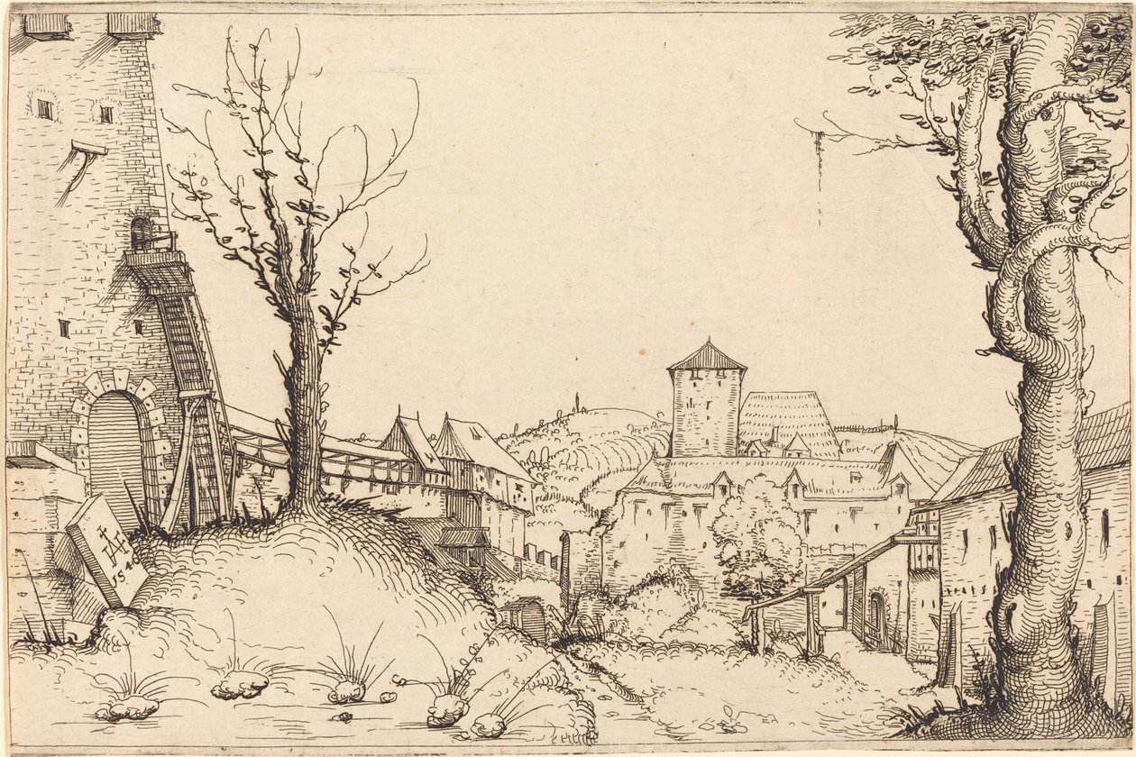 Cortile di un castello da Augustin Hirschvogel